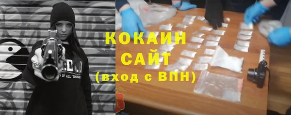 ПСИЛОЦИБИНОВЫЕ ГРИБЫ Пестово
