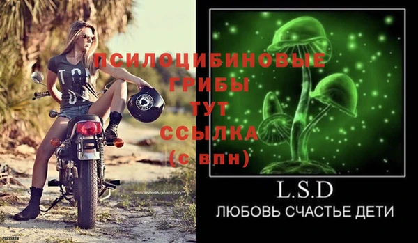 стафф Балахна