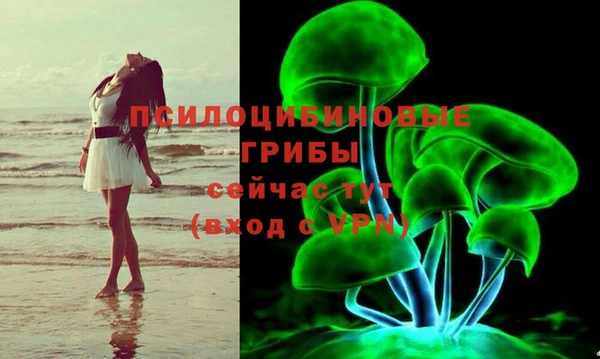 стафф Балахна