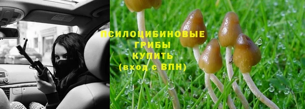 а пвп мука Баксан
